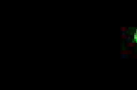 ����� ������ ����� 2008
